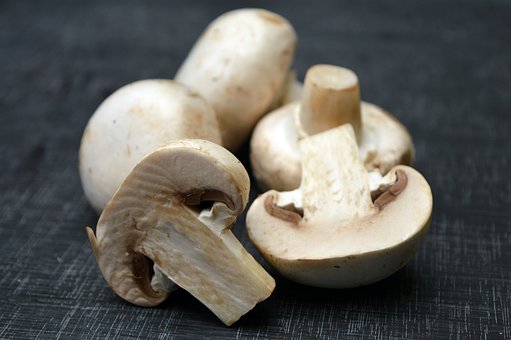 Ways Mushroom Supplements Can Increase Your Productivity