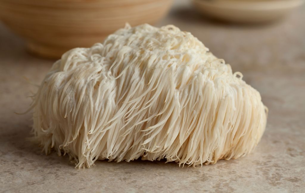 What is Lions Mane Health Benefits to Our Body